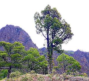 Traumhafte Landschaft