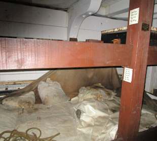  Auswandererschiff Dunbrody Famine Ship Experience