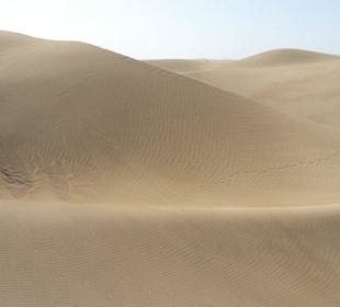 Dünen von Maspalomas