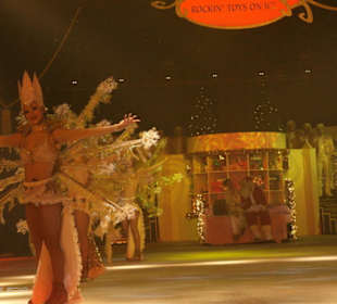 Europapark im Winter