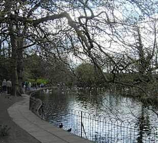 Il laghetto nel parco