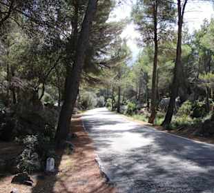 Fahrt nach Torent de Pareis   2