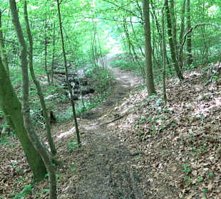 Breitenbachquelle