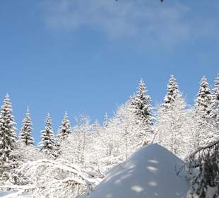  Naturpfad