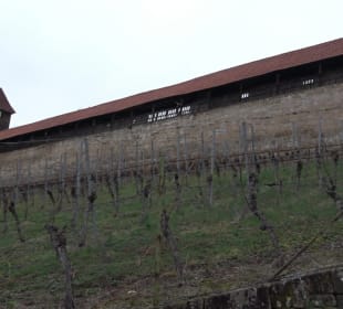 Burg Esslingen