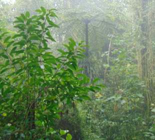 La Paz Waterfall Gardens