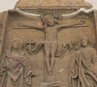 Die Graue Marter in Sommerach