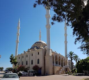 Külliye Moschee