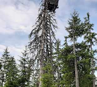 Wandern Saalbach-Hinterglemm