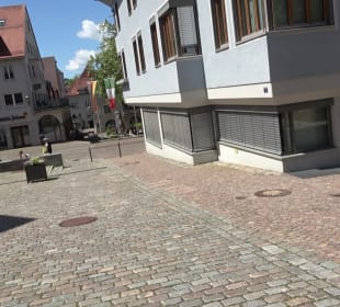 Gänsbühl