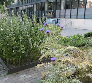 Der Karlsgarten hinter dem westlichen Rathausturm