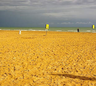 Freier Strandbereich ohne Hund