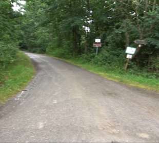 FriedWald Schönbuch