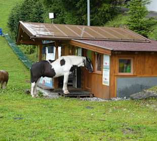 Wandern Fulpmes/Stubaital
