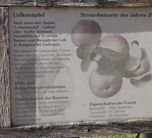 Eduard Lucas Musterobstgarten Mähringen