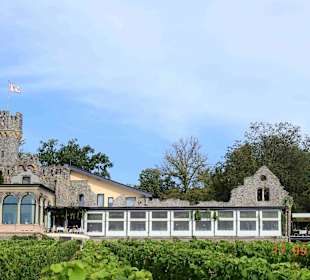 Restaurant Rheinseite