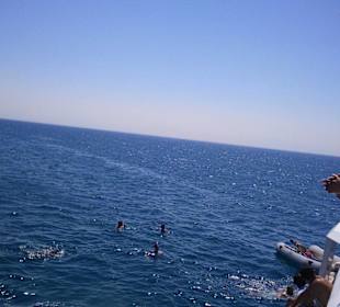 Klare Aussichten, prima Ausflug