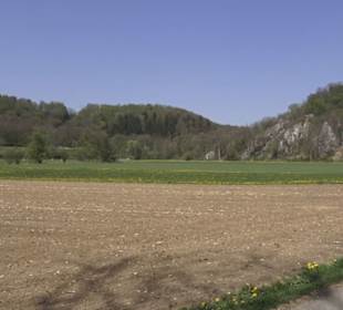 Waldlehrpfad an der Lauter