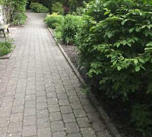 Benediktinerkloster Lorch