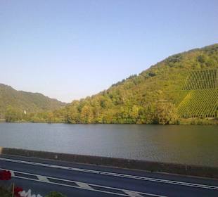 Traumblick auf die Mosel und Weinterrassen