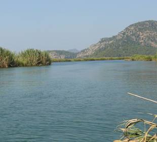 Dalyan