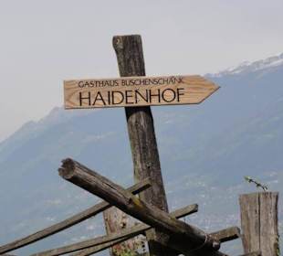 Auf dem richtigen Weg :-)