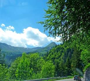 Plöckenpass 2010 die ganze Strecke