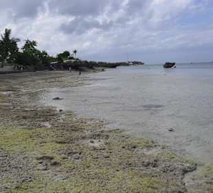 Zwischen Panagsama und White Beach