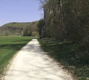 Waldlehrpfad an der Lauter