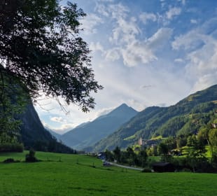 Ausblick