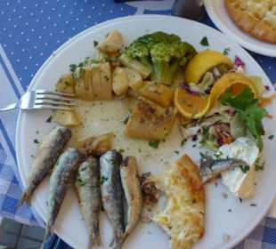 Leccker Sardinen