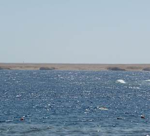 Strandblick