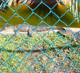 Gefangen auf engen Raum