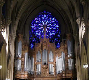 Orgel