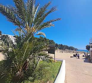 Cala Gran in Cala d'Or