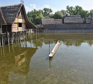 Was schwimmt denn da ?