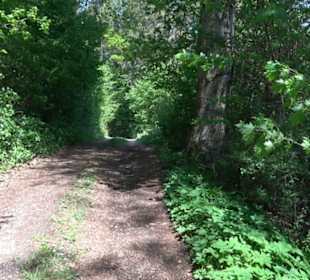 Premiumwanderweg Hochgehschätzt