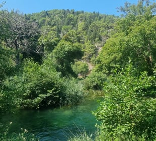 Krka