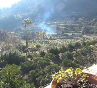 Priorzelle - Garten der Mönche