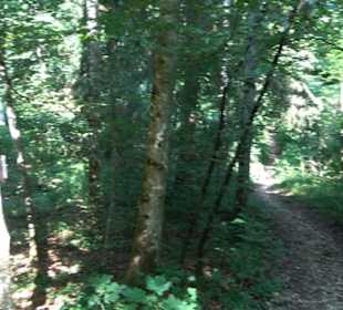 Sternberg Brünnele