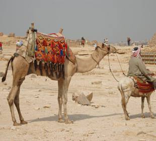 Atrakcja turystyczna