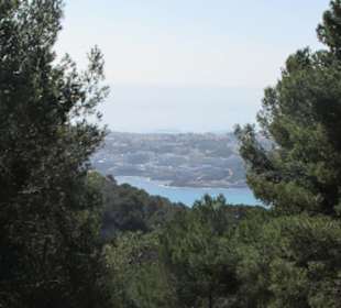Blick zum Hotel