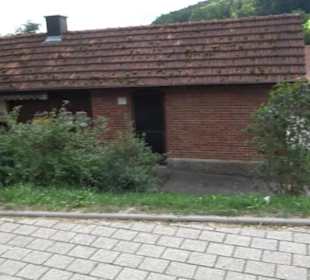 Haupt- und Landgestüt Marbach