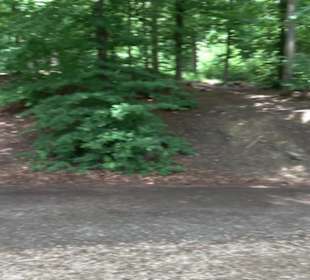 Wanderweg Märchensee Runde