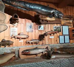 Alpen Wildpark Feld am See