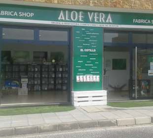 Aloe Vera Infocenter Cotillo