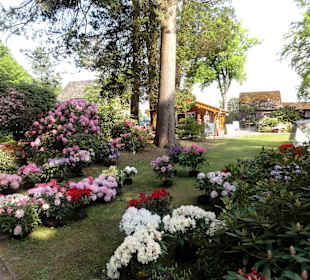 Verkaufsstelle der Baumschule im Park