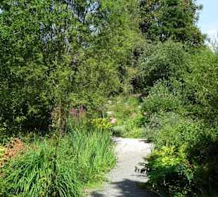Rundgang durch den Ökologisch-Botanischen Garten