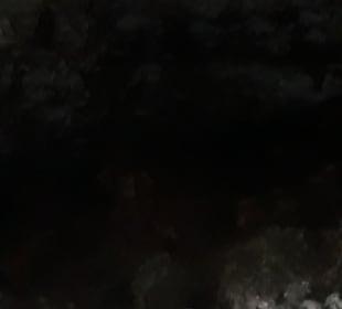 Coral Caves Mangapwani