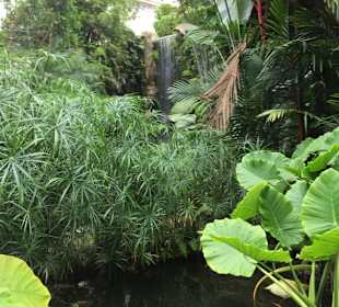 Gondwanaland
